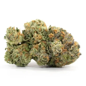 original Critical Kush buds