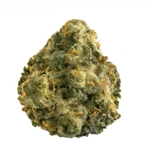 Quality Grapefruit GG4