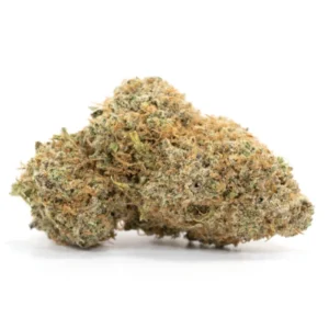 organic Tangerine Dream flower