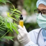 medical cannabis benefits