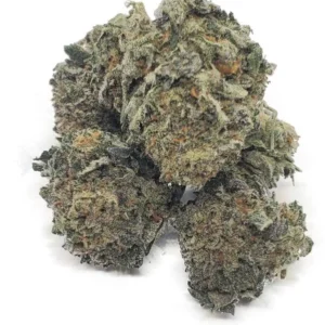 Platinum Bubba Kush strain