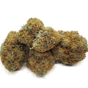 SFV OG strain