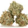 SFV OG strain