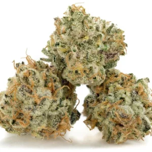 SFV OG strain