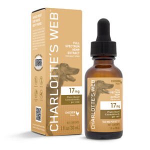 CBD Oil for Dogs