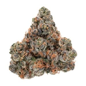 TK Lato THCa Flower