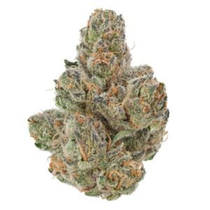 Blackberry Kush THCa Flower