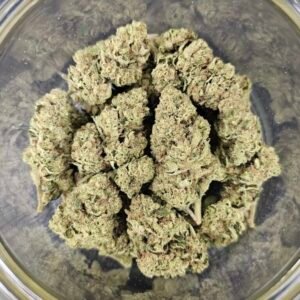 Weed for ADHD instead of Adderall Reddit