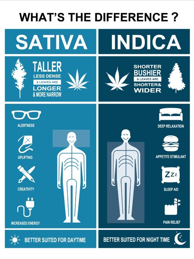 is indica or sativa better for sleep